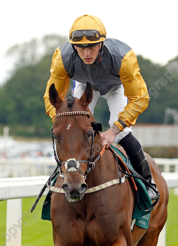 Media-Shooter-0001 
 MEDIA SHOOTER (Clifford Lee)
York 24 Aug 2023 - Pic Steven Cargill / Racingfotos.com