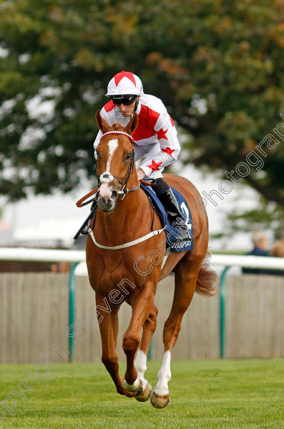 Holloway-Boy-0001 
 HOLLOWAY BOY (Daniel Tudhope)
Newmarket 22 Sep 2022 - Pic Steven Cargill / Racingfotos.com