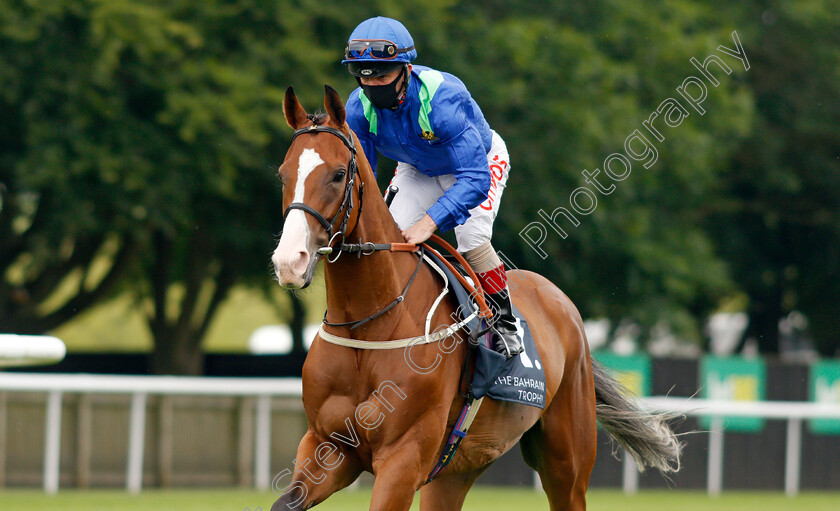 Dancing-King-0001 
 DANCING KING (Franny Norton)
Newmarket 8 Jul21 - Pic Steven Cargill / Racingfotos.com