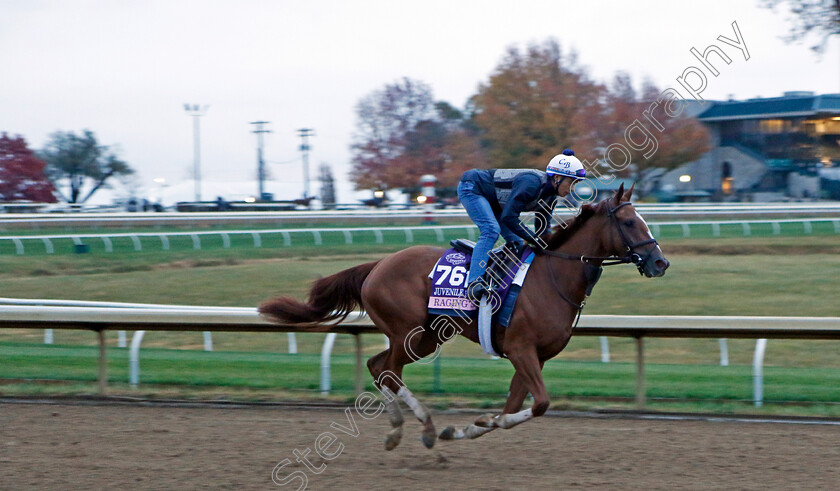 Raging-Sea 
 RAGING SEA training for the Breeders' Cup Juvenile Fillies
Keeneland, USA 31 Oct 2022 - Pic Steven Cargill / Racingfotos.com