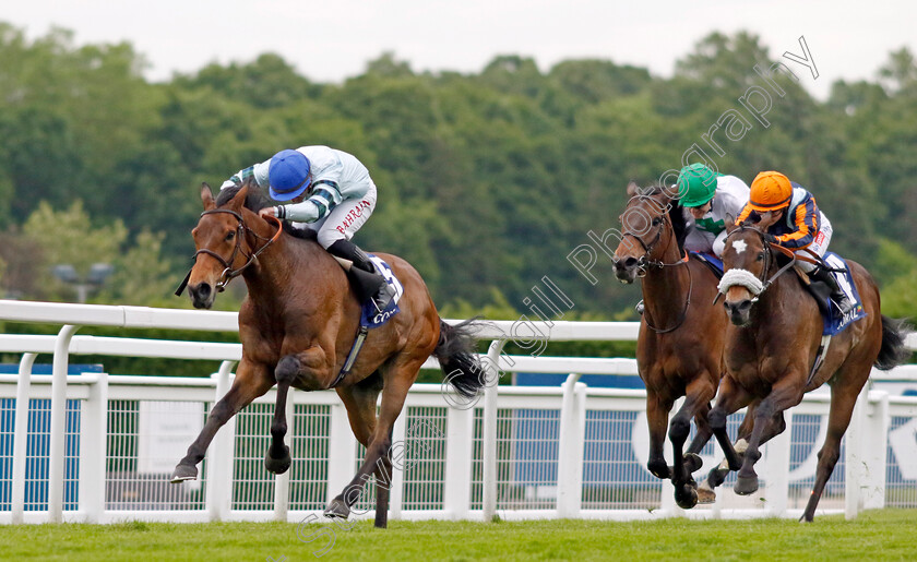 Quickthorn-0008 
 QUICKTHORN (Tom Marquand) beats NATE THE GREAT (right) and RODRIGO DIAZ (2nd right) in The Coral Henry II Stakes
Sandown 26 May 2022 - Pic Steven Cargill / Racingfotos.com