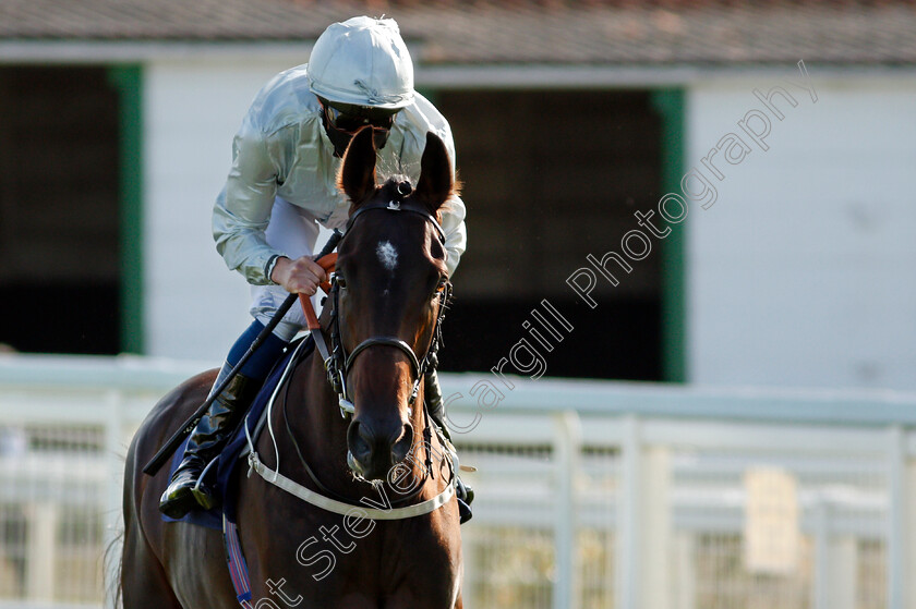 Forest-Falcon-0002 
 FOREST FALCON (William Buick) before winning The British Stallion Studs EBF Novice Stakes
Yarmouth 17 Sep 2020 - Pic Steven Cargill / Racingfotos.com