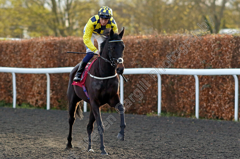 Maryanne-0001 
 MARYANNE (David Probert)
Kempton 3 Apr 2024 - Pic Steven Cargill / Racingfotos.com