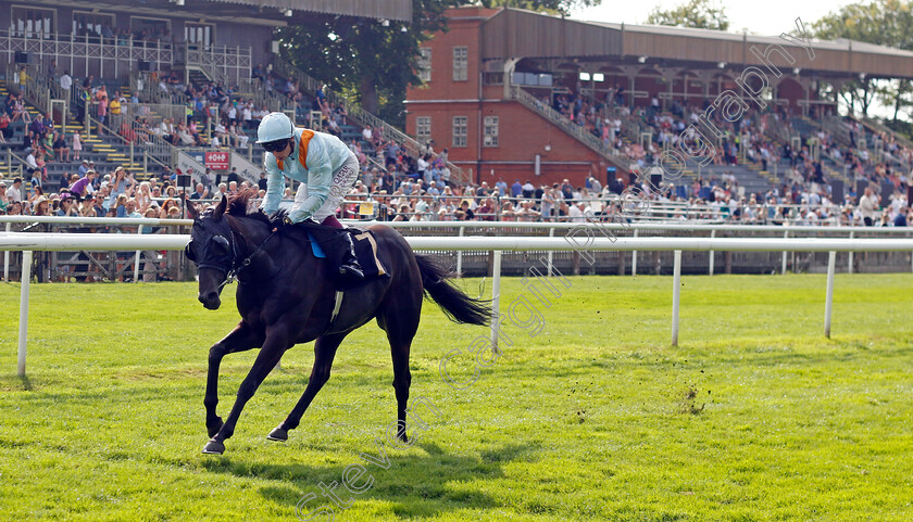 Galactic-Charm-0005 
 GALACTIC CHARM (Oisin Murphy) wins The Patrick B Doyle (Construction) Ltd Handicap
Newmarket 10 Aug 2024 - Pic Steven Cargill / Racingfotos.com