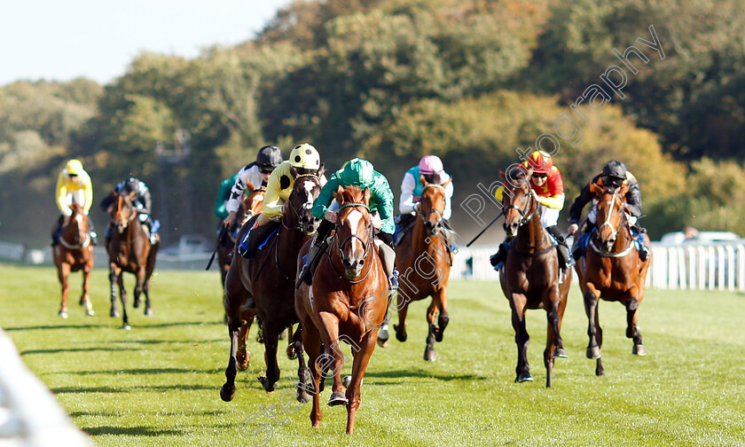 Senza-Limiti-0002 
 SENZA LIMITI (James Doyle) wins The Radcliffe & Co EBF Novice Stakes Div1
Salisbury 3 Oct 2018 - Pic Steven Cargill / Racingfotos.com