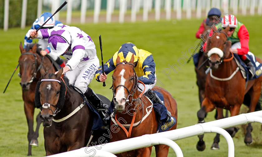 Time-To-Study-0004 
 TIME TO STUDY (centre, P J McDonald) beats BYRON FLYER (left) in The William Hill Mallard Handicap Doncaster 15 Sep 2017 - Pic Steven Cargill / Racingfotos.com