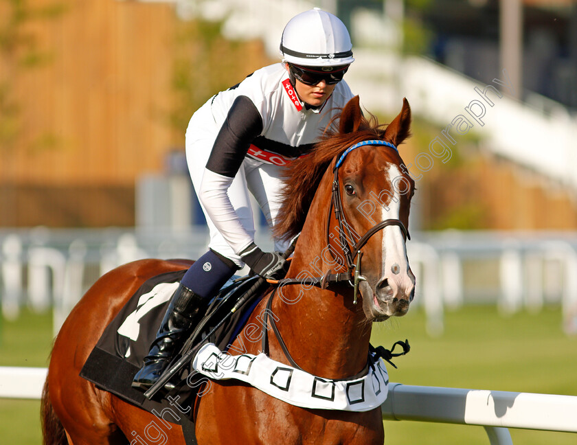 Marion s-Boy-0002 
 MARION'S BOY (Megan Jordan)
Newbury 22 Jul 2021 - Pic Steven Cargill / Racingfotos.com