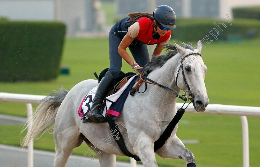 Batwan-0003 
 BATWAN training at the Dubai Racing Carnival 
Meydan 4 Jan 2024 - Pic Steven Cargill / Racingfotos.com