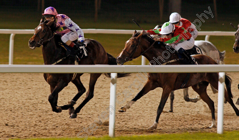 Miss-M-0001 
 MISS M (Martin Dwyer) beats HALDAW (right) in The Bet totewin at Betfred.com Handicap Div1 Chelmsford 12 Oct 2017 - Pic Steven Cargill / Racingfotos.com