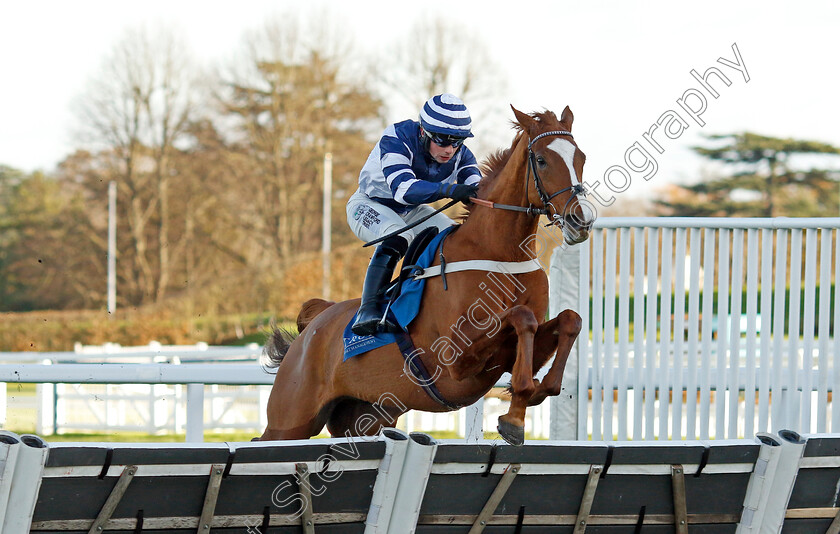 Celtic-Dino-0003 
 CELTIC DINO (Dylan Johnston) wins The Troy Asset Management Introductory Hurdle
Ascot 22 Nov 2024 - Pic Steven Cargill / Racingfotos.com