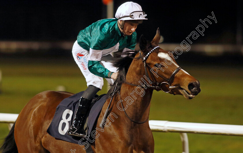 Song-N-Dance-0001 
 SONG N DANCE (Ben Sanderson)
Wolverhampton 20 Dec 2024 - Pic Steven Cargill / Racingfotos.com