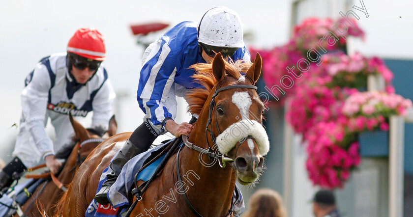 Marhaba-The-Champ-0001 
 MARHABA THE CHAMP (Ryan Moore) wins The Sky Bet Handicap
York 25 Aug 2023 - Pic Steven Cargill / Racingfotos.com