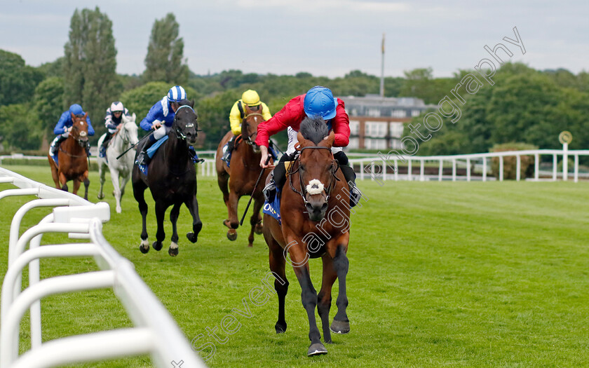 Bay-Bridge-0002 
 BAY BRIDGE (Ryan Moore) wins The Coral Brigadier Gerard Stakes
Sandown 26 May 2022 - Pic Steven Cargill / Racingfotos.com