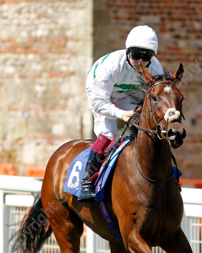 Zaakara-0003 
 ZAAKARA (Cieren Fallon)
Salisbury 11 Aug 2022 - Pic Steven Cargill / Racingfotos.com