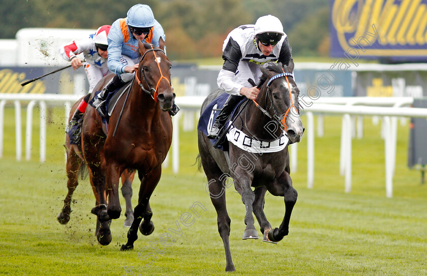 Tip-Two-Win-0005 
 TIP TWO WIN (Adam Kirby) beats TIGRE DU TERRE (left) in The Weatherbys Bank Foreign Exchange Flying Scotsman Stakes Doncaster 15 Sep 2017 - Pic Steven Cargill / Racingfotos.com