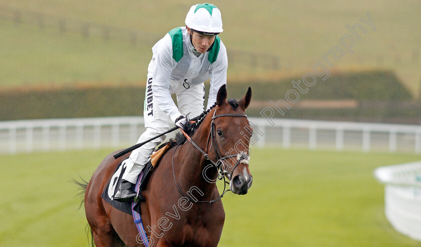 Khalifa-Sat-0001 
 KHALIFA SAT (Jamie Spencer) winner of The Heineken 0.0% Future Stayers EBF Maiden Stakes
Goodwood 25 Sep 2019 - Pic Steven Cargill / Racingfotos.com