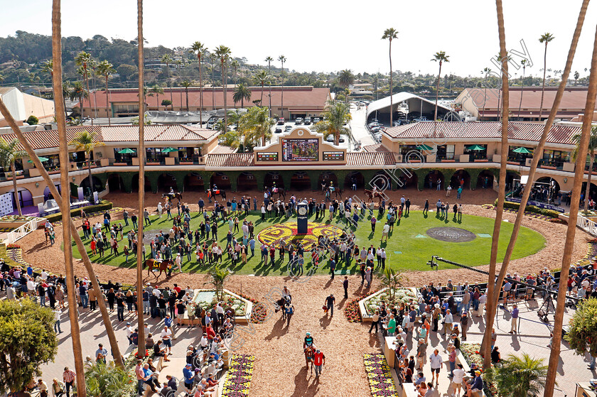 Del-Mar-0002 
 Horses leaving the paddock for a race at Del Mar 2 Nov 2017 - Pic Steven Cargill / Racingfotos.com