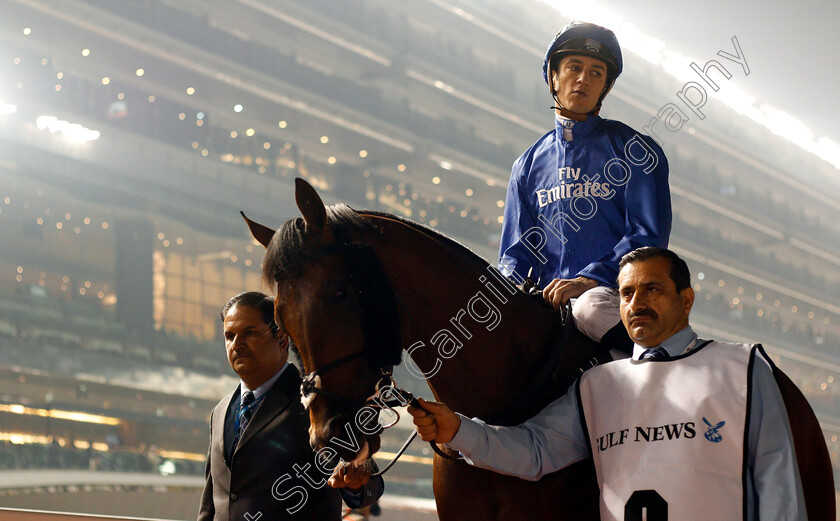 Thunder-Snow-0001 
 THUNDER SNOW (Christophe Soumillon) before winning The Al Maktoum Challenge Round 2 Meydan 8 Feb 2018 - Pic Steven Cargill / Racingfotos.com