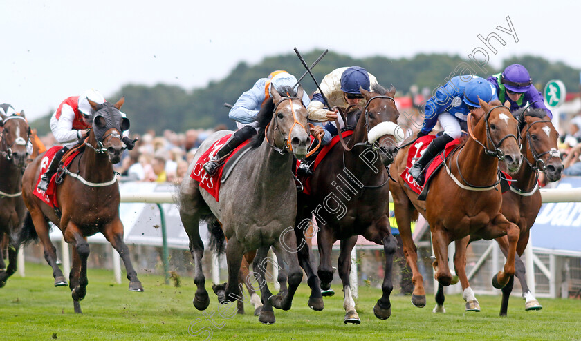 Shouldvebeenaring-0002 
 SHOULDVEBEENARING (left, Sean Levey) beats WASHINGTON HEIGHTS (centre) and NORTHCLIFF (right) in The Goffs UK Harry Beeby Premier Yearling Stakes
York 18 Aug 2022 - Pic Steven Cargill / Racingfotos.com