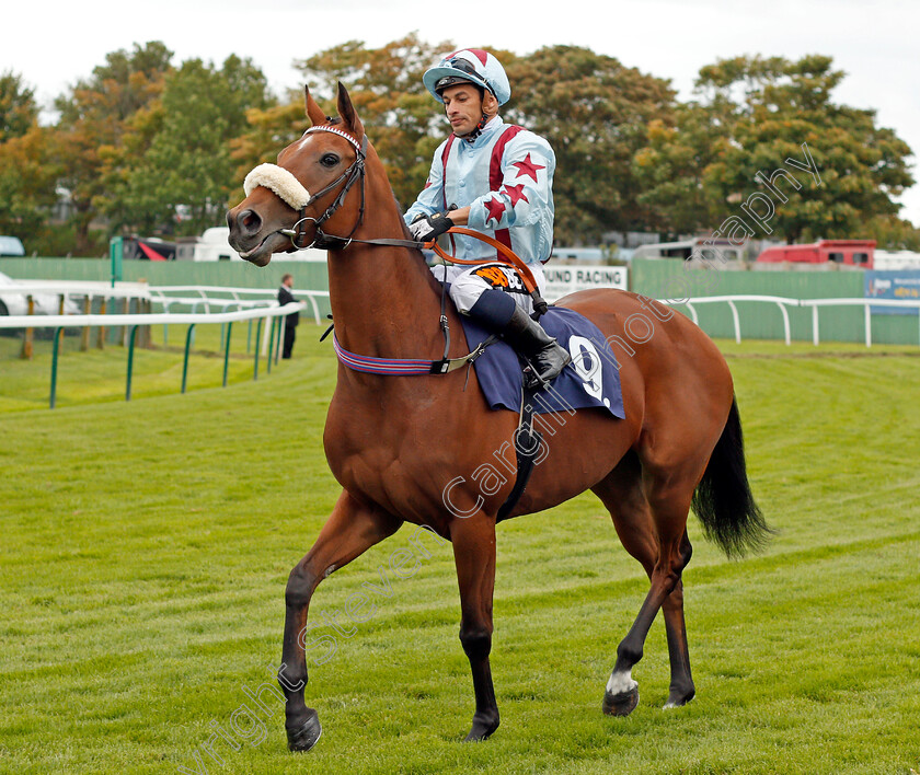 Dream-Bounty-0001 
 DREAM BOUNTY (Silvestre De Sousa) Yarmouth 19 Sep 2017 - Pic Steven Cargill / Racingfotos.com