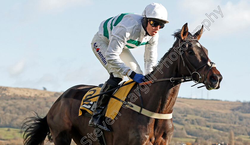 Botox-Has-0004 
 BOTOX HAS (Joshua Moore) wins The JCB Triumph Trial Juvenile Hurdle
Cheltenham 14 Dec 2019 - Pic Steven Cargill / Racingfotos.com