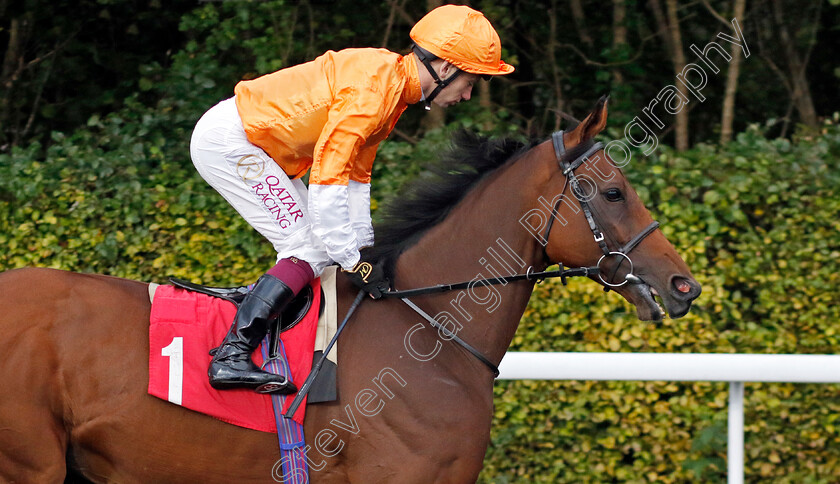 Willem-Twee-0002 
 WILLEM TWEE (Oisin Murphy)
Kempton 2 Oct 2024 - pic Steven Cargill / Racingfotos.com