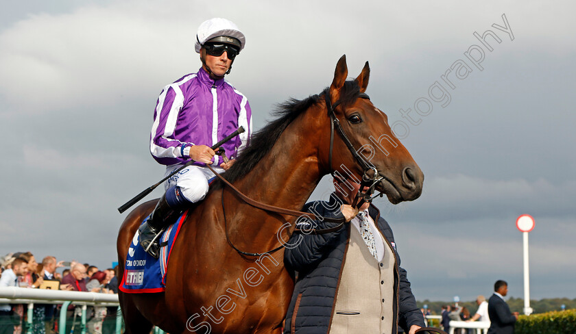 Tower-Of-London-0002 
 TOWER OF LONDON (Jim Crowley)
Doncaster 16 Sep 2023 - Pic Steven Cargill / Racingfotos.com