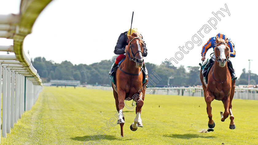 Stradivarius-0002 
 STRADIVARIUS (Frankie Dettori) beats IL PARADISO (right) in The Weatherbys Hamilton Lonsdale Cup
York 23 Aug 2019 - Pic Steven Cargill / Racingfotos.com