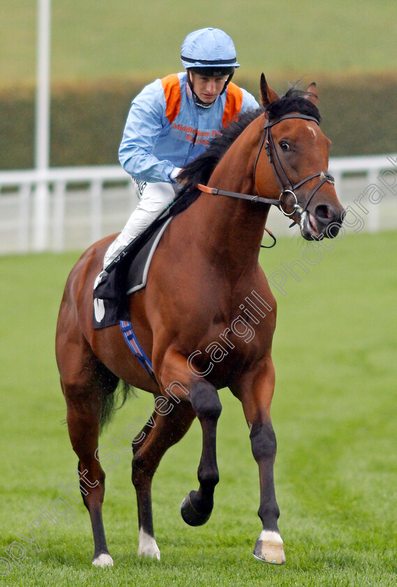 Jen s-Lad-0001 
 JEN'S LAD (Tom Marquand)
Goodwood 25 Sep 2019 - Pic Steven Cargill / Racingfotos.com