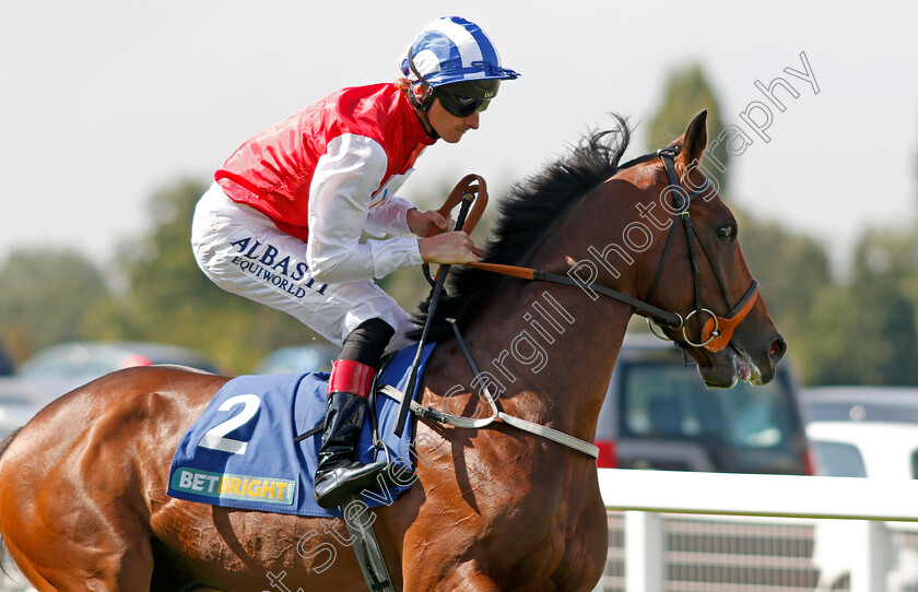 Connect-0002 
 CONNECT (Adam Kirby) Sandown 2 Sep 2017 - Pic Steven Cargill / Racingfotos.com