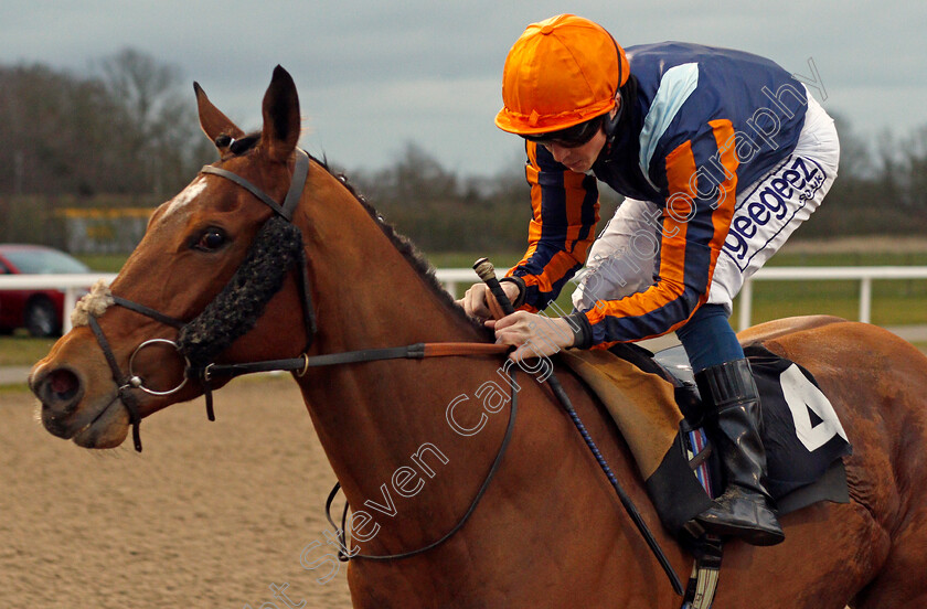 Hold-Fast-0004 
 HOLD FAST (David Probert) wins The Support The Injured Jockeys Fund Fillies Handicap
Chelmsford 4 Mar 2021 - Pic Steven Cargill / Racingfotos.com