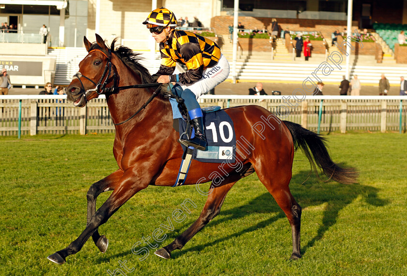 Serengeti-Sunset-0001 
 SERENGETI SUNSET (Benoit de la Sayette)
Newmarket 19 Oct 2022 - Pic Steven Cargill / Racingfotos.com