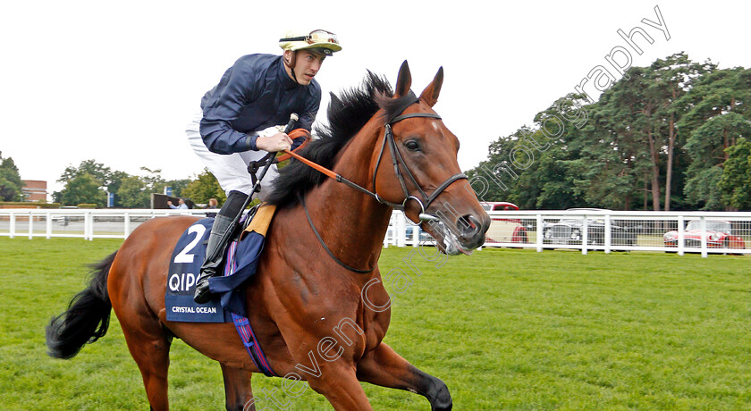 Crystal-Ocean-0001 
 CRYSTAL OCEAN (James Doyle)
Ascot 27 Jul 2019 - Pic Steven Cargill / Racingfotos.com