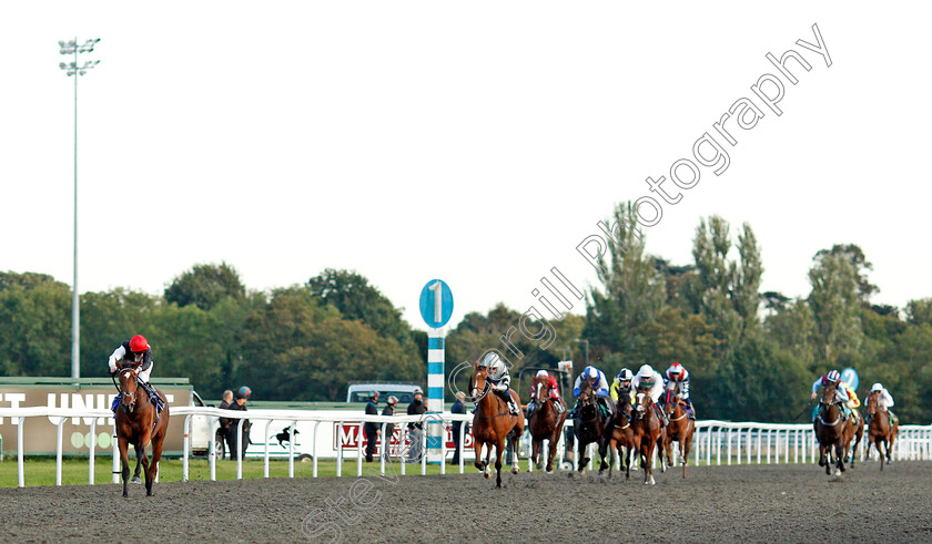 At-A-Pinch-0001 
 AT A PINCH (Robert Havlin) wins The Unibet New Instant Roulette Maiden Fillies Stakes
Kempton 6 Oct 2021 - Pic Steven Cargill / Racingfotos.com