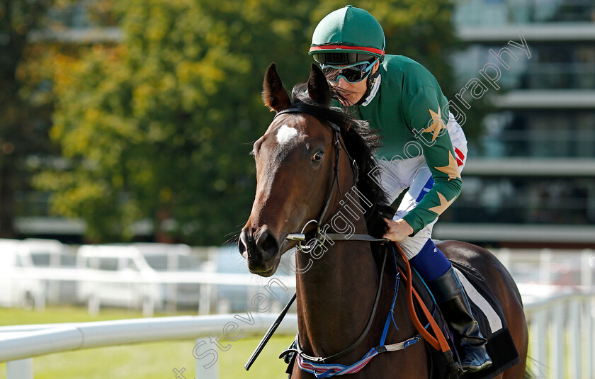 Epic-Fantasy-0001 
 EPIC FANTASY (Fran Berry) Newbury 23 Sep 2017 - Pic Steven Cargill / Racingfotos.com