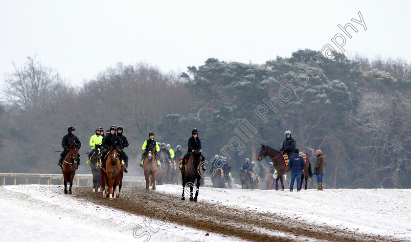 Newmarket-Snow-0005 
 Racehorses training in the snow at Newmarket
1 Feb 2019 - Pic Steven Cargill / Racingfotos.com