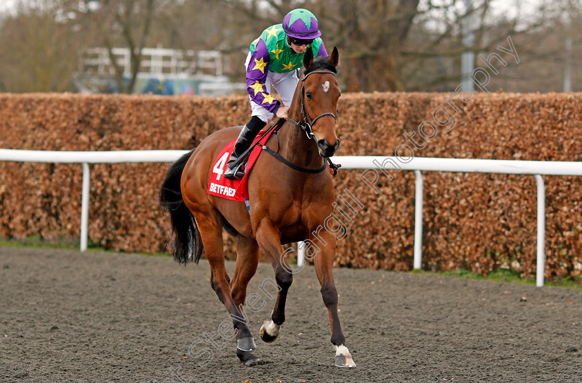 Evergate-0001 
 EVERGATE (Tom Marquand) Kempton 7 Apr 2018 - Pic Steven Cargill / Racingfotos.com