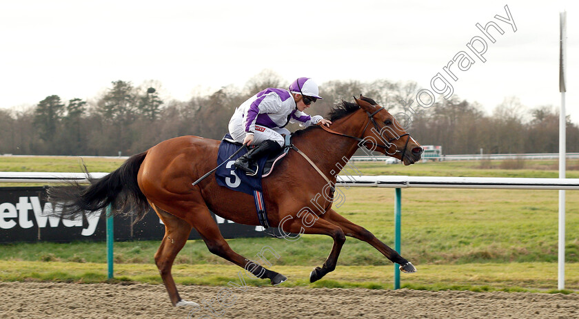 Gorgeous-Noora-0003 
 GORGEOUS NOORA (Hollie Doyle) wins The Play 4 To Score At Betway Handicap
Lingfield 18 Jan 2019 - Pic Steven Cargill / Racingfotos.com