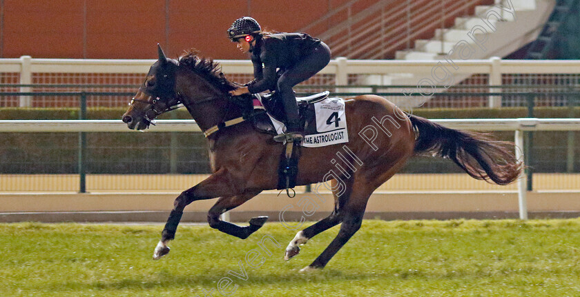 The-Astrologist-0002 
 THE ASTROLOGIST training for the Al Quoz Sprint
Meydan, Dubai, 21 Mar 2023 - Pic Steven Cargill / Racingfotos.com