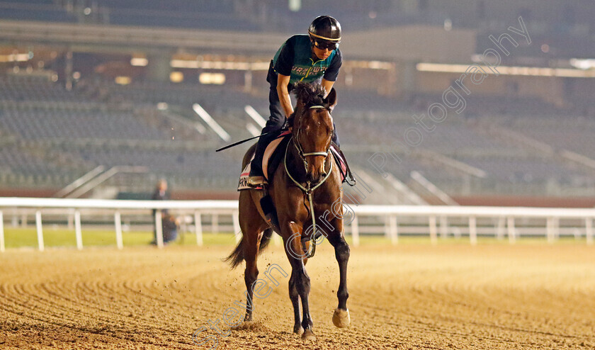 Perriere-0001 
 PERRIERE training for the UAE Derby
Meydan, Dubai, 21 Mar 2023 - Pic Steven Cargill / Racingfotos.com