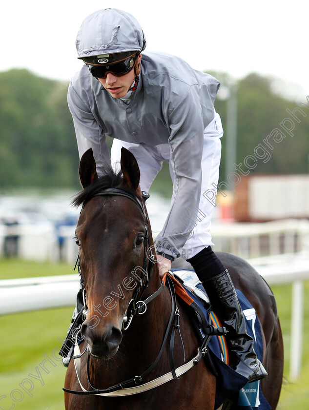 World-Order-0002 
 WORLD ORDER (James Doyle)
York 16 May 2018 - Pic Steven Cargill / Racingfotos.com