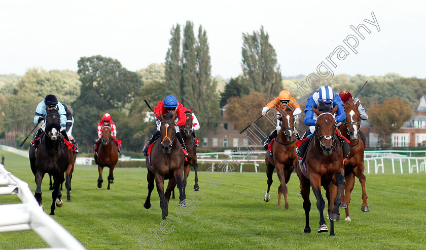 Wadilsafa-0003 
 WADILSAFA (Jim Crowley) wins The Smarkets Fortune Stakes
Sandown 19 Sep 2018 - Pic Steven Cargill / Racingfotos.com