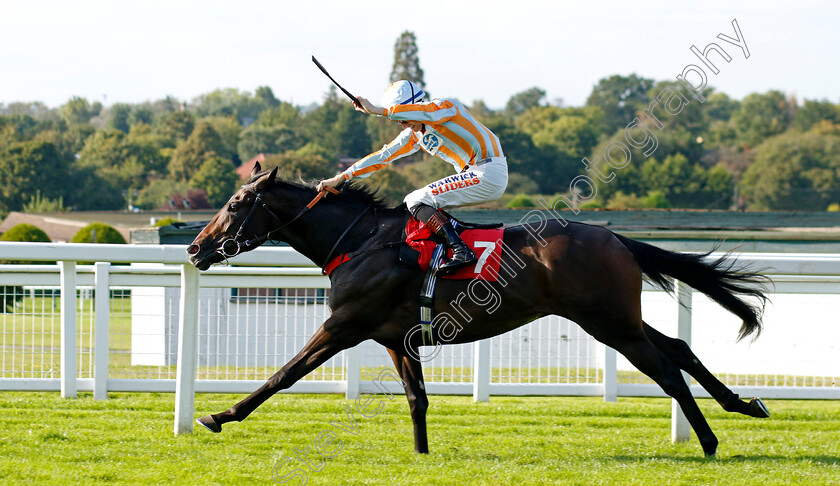 Spanish-Blaze-0001 
 SPANISH BLAZE (Trevor Whelan) wins The Virgin Bet Daily Extra Places Nursery
Sandown 2 Sep 2023 - Pic Steven Cargill / Racingfotos.com