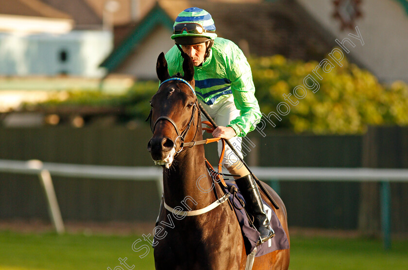 Jessinamillion-0001 
 JESSINAMILLION (Ted Durcan) Yarmouth 20 Sep 2017 - Pic Steven Cargill / Racingfotos.com