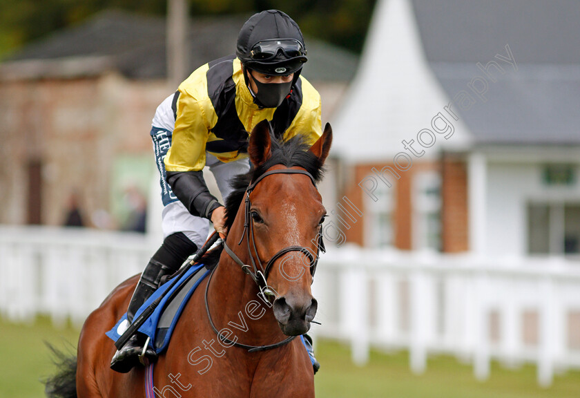 Paramaribo-0001 
 PARAMARIBO (Harry Bentley)
Salisbury 1 Oct 2020 - Pic Steven Cargill / Racingfotos.com