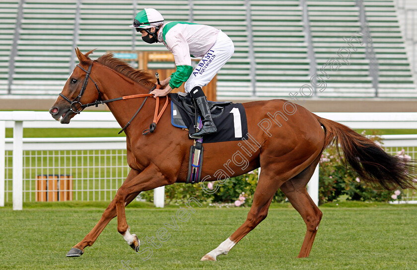 Carbon-Positive-0001 
 CARBON POSITIVE (Luke Morris) 
Ascot 25 Jul 2020 - Pic Steven Cargill / Racingfotos.com