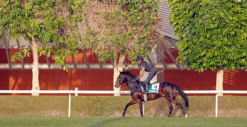 Pyledriver-0001 
 PYLEDRIVER training for the Sheema Classic
Meydan, Dubai, 23 Mar 2022 - Pic Steven Cargill / Racingfotos.com