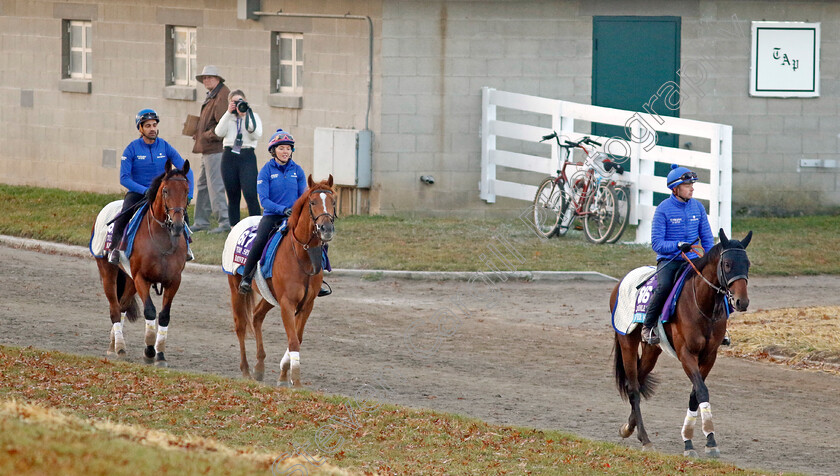 Godolphin-0001 
 Godolphin horses SILVER KNOTT, CREATIVE FORCE and NAVAL POWER training for the Breeders' Cup
Keeneland USA 3 Nov 2022 - Pic Steven Cargill / Racingfotos.com