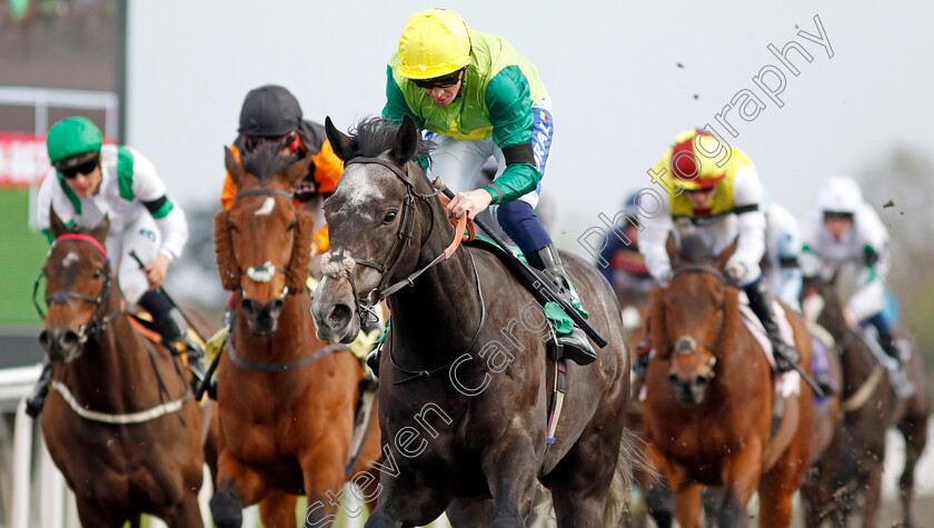 Ferrous-0002 
 FERROUS (David Probert) wins The Virgin Bet Fives Handicap
Kempton 6 Apr 2024 - Pic Steven Cargill / Racingfotos.com