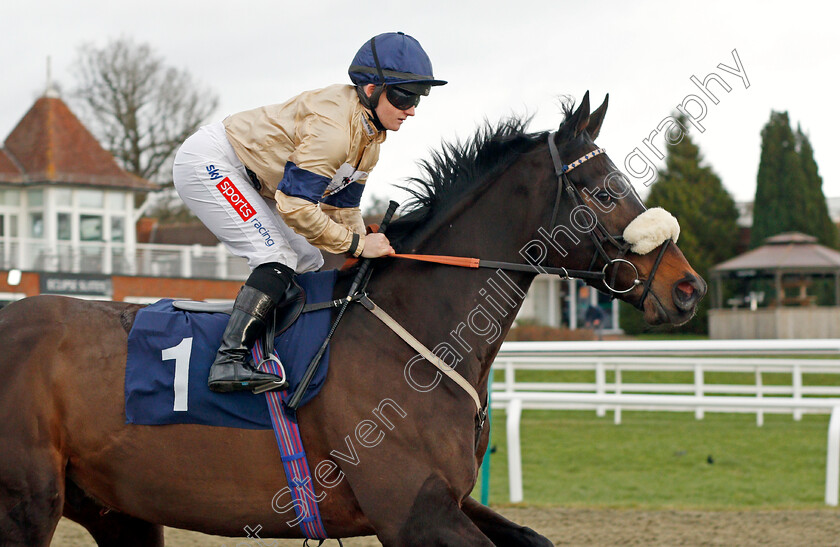 Al-Zaraqaan-0002 
 AL ZARAQAAN (Hollie Doyle)
Lingfield 5 Feb 2022 - Pic Steven Cargill / Racingfotos.com